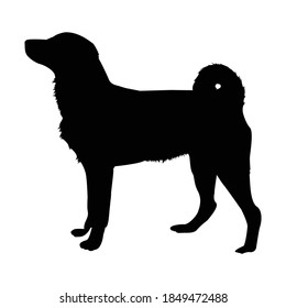 Ilustración vectorial de silueta de perro de Appenzeller.