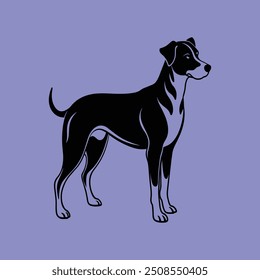 Appenzeller Dog stands icon vector illustration