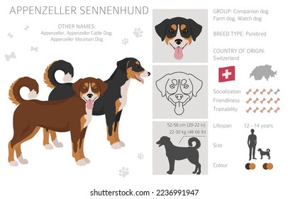 Appenzeller envió todos los colores al clíparte. Colores y poses diferentes.  Ilustración del vector