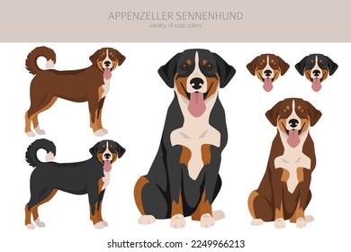 Appenzeller envió todos los colores al clíparte. Colores y poses diferentes.  Ilustración del vector