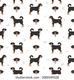 Appenzeller sennenhund all colours seamless pattern. Different coat colors and poses set.  Vector illustration