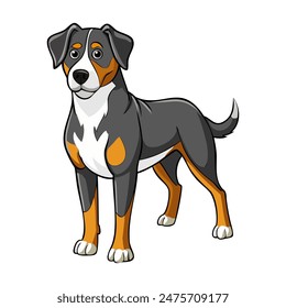 Appenzeller Sennenhund dog vector illustration isolated on white background in cartoon style.