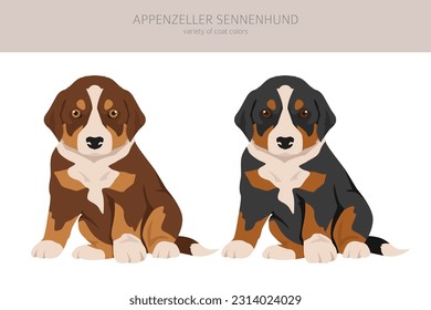 Appenzeller sennenhund cachorro todos los colores clipart. Colores y poses diferentes.  Ilustración del vector