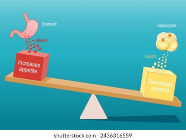 Appetite control and regulation. Hunger and Satiety hormones. Ghrelin and Leptin. eating disorders. Stomach produce ghrelin hormone for appetite increase, adipose tissue release leptin