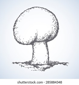 Appetizing Agaricus on a glade in the autumn forest. Vector monochrome freehand ink drawn backdrop sketch in art antique scrawl style pen on paper. View close-up with space for text