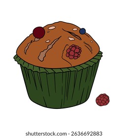 Appetizing blueberry and raspberry muffin sweet baked dessert confectionery with paper cup Baked sweet treats dessert. Outline food art pastry