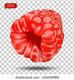 Appetizing fresh raspberries isolated on a transparent background. Realistic vector illustration