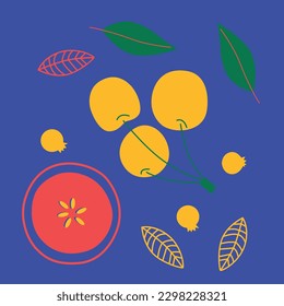 Apetitosa colección de frutas y bayas. Banner horizontal abstracto decorativo con doodles coloridos. Ilustraciones modernas hechas a mano con frutas y bayas, elementos abstractos. Serie abstracta