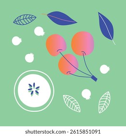 Appetizing fruit, vegetables and berries collection.