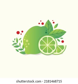appetizing illustration of fresh ripe lime surrounded by mint leaves