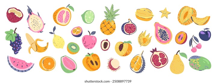 Apetitoso suculento doodle frutas coleção vetor em fundo branco.