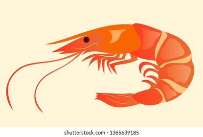 Appetizing and juicy shrimp isolated on the background. Tasty and healthy food. Japanese cuisine, illustration eps 10