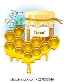 Appetizing pitcher with honey. Honeycomb with honey flowing down from them.