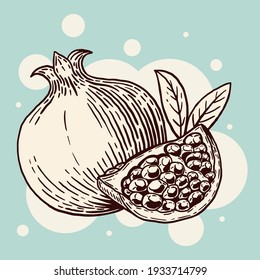 Appetitives Granatapfel mit Blättern und schneiden Sie eine Scheibe ab. Köstliches Obst. Handgezeichnete Skizze. Vintage-Stil. Vektorgrafik einzeln auf Farbhintergrund.