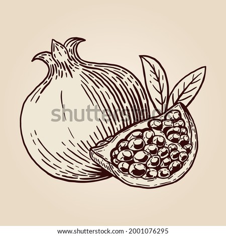 Appetizing pomegranate with leaves and cut off a slice. Delicious fruit. Hand drawn sketch. Vintage style. Vector illustration isolated on color background.