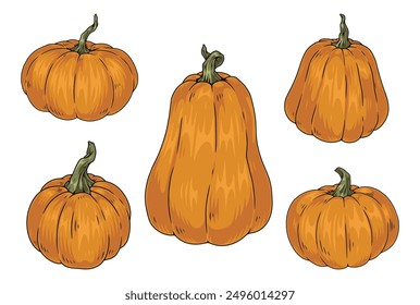 Appetizing pumpkins set logotypes colorful with fruits different shapes for decoration of greeting posters for Thanksgiving or halloween vector illustration