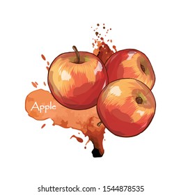 Appetizing red apples on a background of large red-orange blots. Watercolor stains and splashes. Fruits, apple juice. Art style. Isolated vector on a white background.