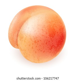 Appetizing ripe peach. Illustration for design on white background