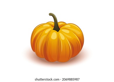 Appetizing ripe pumpkin isolated on white background. Vector illustration