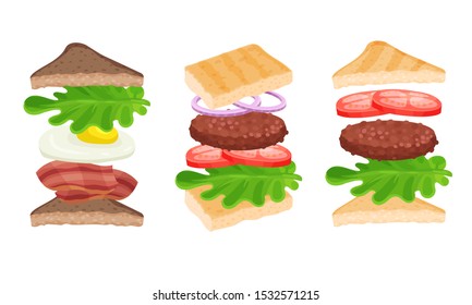 Appetizing Sandwich Ingredients Isolated Vector Illustrated Collection