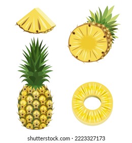 An appetizing set of pineapples whole fruit,half,slice,peeled slice,isolated on a white background.Vector collection of pineapples for juice packs,textiles, postcards.