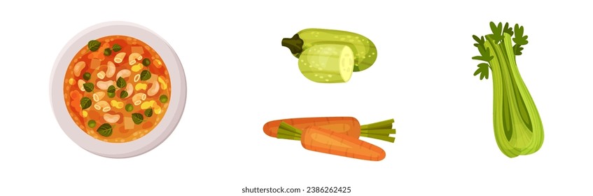 Appetizing Vegetable Minestrone Products and Ingredients Vector Set