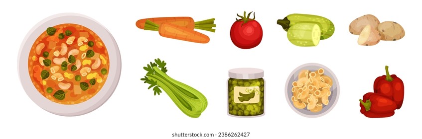 Appetizing Vegetable Minestrone Products and Ingredients Vector Set