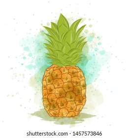 Appetizing watercolor pineapple on white background
