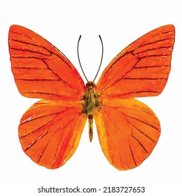 Appias nero. Schöner Schmetterling auf weißem Hintergrund. Farbige Schmetterlingsvektorgrafik. Entomologie-Bild. Die Dekoration im Aquarell. Bild für Logo, Design und Grußkarte.