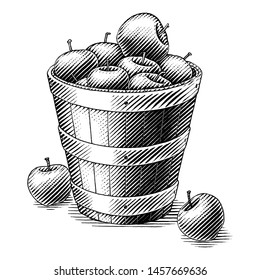 Apple in basket hand drawing vintage style black and white clip art isolated on white background