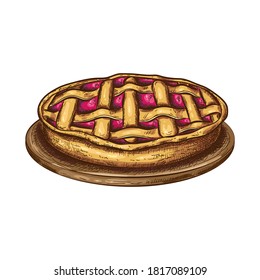 apple or berries pie sketch, tart or cake on plate isolated on white. colored illustration of traditional fall pastry in vintage engraved style. Vector icon of sweet dessert with fruit, berry filling