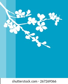 Apple blossom
