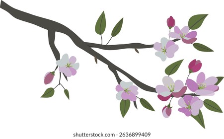 Apple blossom branch with pink flowers on a white background. Simple flat design for prints, textiles, wallpapers, and digital projects.