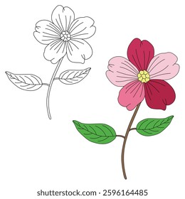 Apple Blossom coloring vector and outline icons. Black flat color Apple Blossom flower vector and illustration.