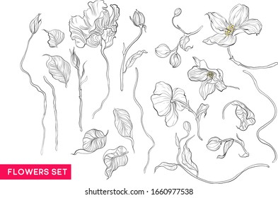 Apple blossom and Eustoma flowers. Botany. Set. Vintage flowers. Black and white illustration in the style of engravings.