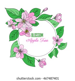 Apple blossom flower, bud, leaf, branch vector colorful doodle sketch hand drawn isolated on white, vintage round frame, decorative wreath for greeting card, wedding invitation, cosmetic design, label