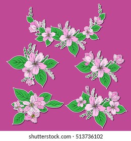 Apple blossom flower, bud, leaf, branch vector colorful hand drawn illustration isolated on pink background, decorative wreath for greeting card, wedding invitation, cosmetic design, label sticker