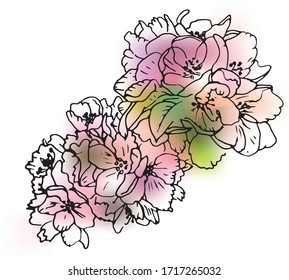 Apple Blossom Line Art On Blur Background