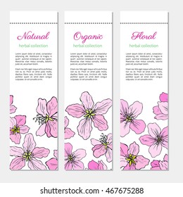 Apple blossom pink flower vector colorful doodle ink sketch hand drawn isolated on white, vintage decorative vertical banner for greeting card, wedding invitation, cosmetic design, label