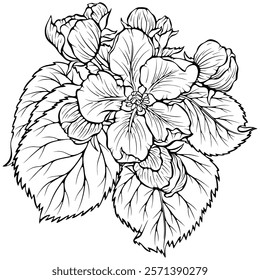Apple blossom. Apple tree branch with flower. Spring botanical illustrations. Vector illustration in hand drawn sketch doodle style. Line art graphic isolated on white. Design for coloring book, print