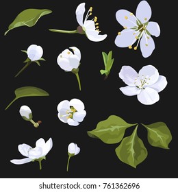 Apple Blossom Vector Clip Art Set Flower image