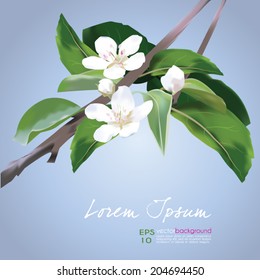 Apple Blossom vector illustration. Floral banner for food & cosmetics package labeling, greeting cards, invitations, life events announcements, decals. Sample text. Editable  EPS10