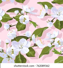 Apple Blossom Vector Seamless Pattern Flowered Texture Ballet Slipper Color Background