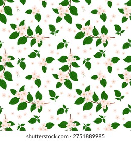 Apple blossoms on a white background. Seamless pattern with spring blossoms.