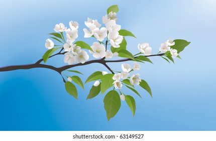 apple blossoms. Spring Apple-tree branch in bloom svg