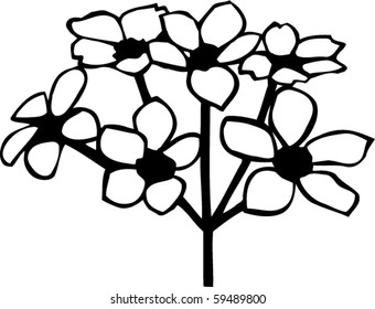 Apple Blossoms Vector Illustration