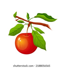 apple branch cartoon. tree fruit leaf, farm harvest, autumn leaves apple branch vector illustration