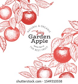 Apple branch design template. Hand drawn vector garden fruit illustration. Engraved style fruit retro botanical banner.