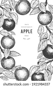 Plantilla de diseño de ramas de Apple. Ilustración de frutas vectoriales dibujadas a mano. Banner botánico retro de fruta de estilo grabado.
