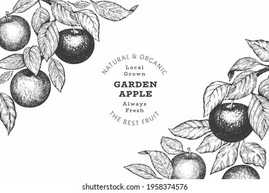 Apple branch design template. Hand drawn vector garden fruit illustration. Engraved style fruit retro botanical banner.